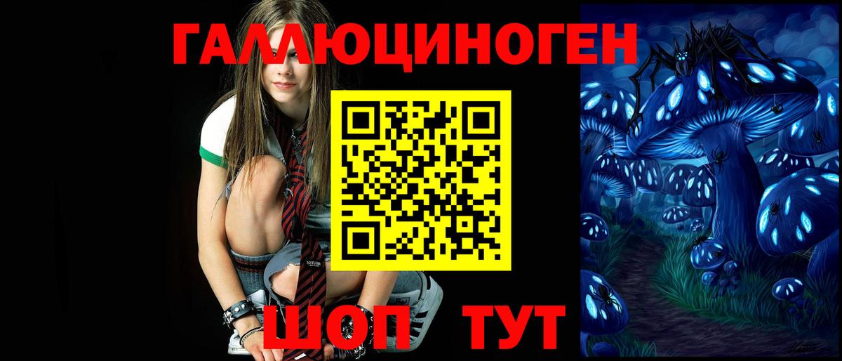 Галлюциногенные грибы прущие грибы Белгород
